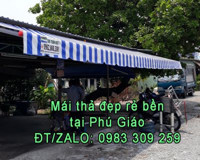Mái thả tại Phú Giáo