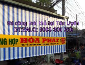 Mái thả tại Tân Uyên