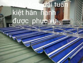 Mái thả tại Bình Dương