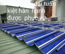 Mái thả tại Bình Dương