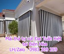 Mái thả tự rút tại Biên Hòa