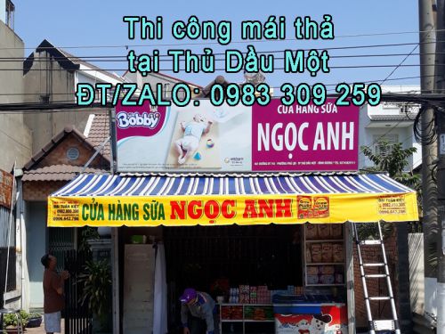 Mái thả tại Thủ Dầu Một