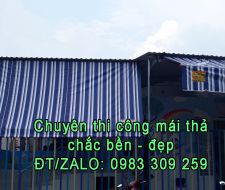 Mái thả tại Dầu Tiếng