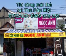 Mái thả tại Thủ Dầu Một