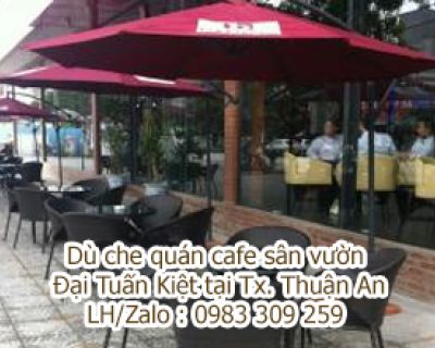 Dù che quán cà phê sân vườn tại TX. Thuận An
