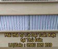 Mái thả tự rút tại Thủ Đức